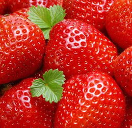 农副产品配送 连接优质商家与消费者的桥梁