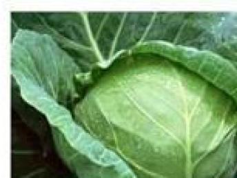 深圳农产品配送服务 便捷生活与健康保障