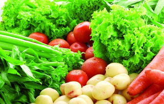 南湖区农产品安全再升级 96家农业主体实现100%可追溯