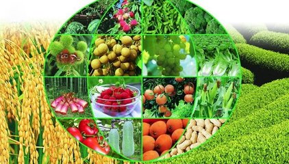 构建农产品追溯标准体系，推进农业全程标准化——七部门联合部署农产品质量安全新举措