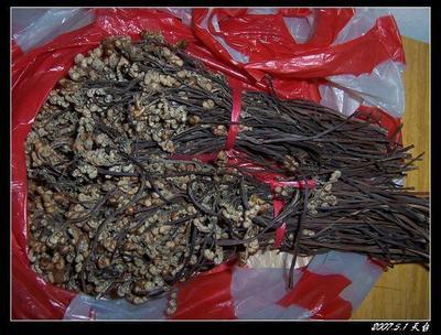 探寻优质蕨菜干 从厂家样板图到上海批发——湖北四季农产品价格解析