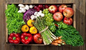 中国供销延安农产品物流园 构筑放心“菜篮子”工程，助力农产品安全高效流通